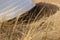 White boat that lay upside down behind the dry reeds. Old yellow grass and blurred fishermans boat at the background.