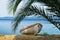 White boat under palm tree on a sandy beach at morning, west coast of Sithonia