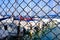 white boats  in a small harbour, behind a fence