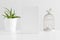 White book mockup with a succulent plant and a candle holder on a white table