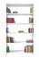 White bookcase with many different books isolated