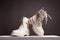 White boots on wooden table. fashion shoes still life