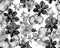 White Botanical Foliage. Black Orchid Illustration. Hibiscus Backdrop. Flower Jungle. Watercolor Plant. Seamless Garden. Pattern J