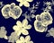 White Botanical Garden. Navy Orchid Decor. Azure Hibiscus Decor. Flower Garden. Watercolor Backdrop. Seamless Decor. Pattern Set.