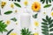 White bottle with cosmetic on white background with field flowers and leaves. The concept of summer and idea for advertisement of