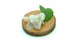 White Bougainvillea Flower at right side on a wooden slice