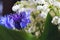 White bouquet small flowers of May lily of the valley and blue cornflowers on a black background.