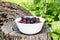 White bowl with delicious ripe juicy mulberry stands on the stump outdoors