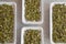 White boxes of fresh lentils sprouts closeup.