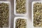 White boxes of fresh lentils sprouts closeup. Microgreens. Growing lentils sprouts for healthy salad. Eating right  restaurant
