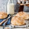 White Bread Buns with Rolled Oats