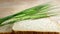 White Bread with crop barley on wooden background