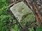 White brick, grass and wood