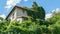 White brick house overgrown with green leaves of Parthenocissus quinquefolia Virginia creeper, Victoria creeper, five-leaved ivy