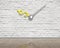 white bricks wall with money sign clock hands and reflective clean wooden floor, indoor , 3D rendering