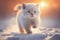 White british kitten in the snow. Generative AI, Generative, AI