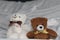 White and brown Bears toy sitting on the bed