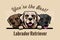 White, Brown and Black Labrador Retriever - vector peeking dog head, dog breed