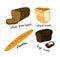 White and brown bread. Different types assortment Bakery shop. Hand drawn sketch. Vector cartoon.