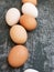 White and brown eggs of domestic chickens. Laying eggs of hen close-up on dark green noisy background. Farm eco-friendly product