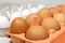 White and brown eggs in package. Chicken eggs in carton cells