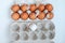 White and Brown Eggs in paper egg panel with chicken feather close up. White egg is separated from the group of brown eggs.