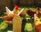 White and brown hens pecking grass from the feeder