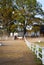 White and brown horses stand near the stay. White wooden fence