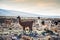 White and brown lama in Altiplano, Bolivia