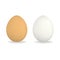 White and brown realistic chicken eggs