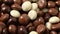 White and brown traditional chocolate Dutch spiced cookies full frame close up