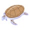 White brown turtle icon, isometric style