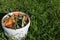 White bucket of vegetable and fruit peels against long green grass