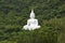 White buddha statue on the mountain