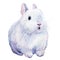 White bunny on an isolated white background, painted with watercolor, fluffy bunny