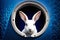 White Bunny Peeking Out Of A Hole In A Blue Wall. Easter Rabbit Banner. Generative AI