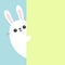 White bunny rabbit holding green wall signboard. Cute cartoon funny animal hiding behind paper. Happy Easter symbol. Peekaboo. Fla