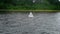 White buoy floating in the river next to shore