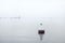 White buoy on the water in the fog. white on white