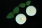 White burning tealight candles on black background. Beauty, SPA treatments, massage therapy and relax concept