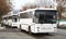 White buses