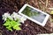 White Business Tablet On Soil Next To Some Flowers