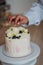 White Cake, cooking, cake decoration with berries and flowers