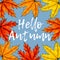 White calligraphy inscription Hello autumn surrounded by yellow, orange and red maple leaves. Hand lettering in the