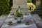 White candles and lanterns with greenery in the cemetery