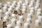 White canopied beach chairs at Baltic Sea