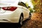 White car and autumn