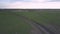 White car among boundless green fields against forest