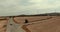 White car at the crossroads. Time selection and decision. Crossroads in a sandy field near the windmills.