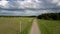 White car drives between green dense forest and field